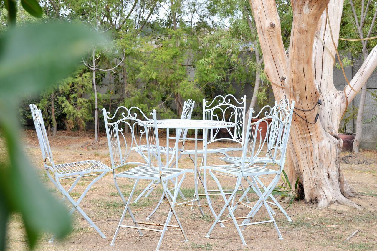 Versailles Self-Catering Wellington Exteriör bild